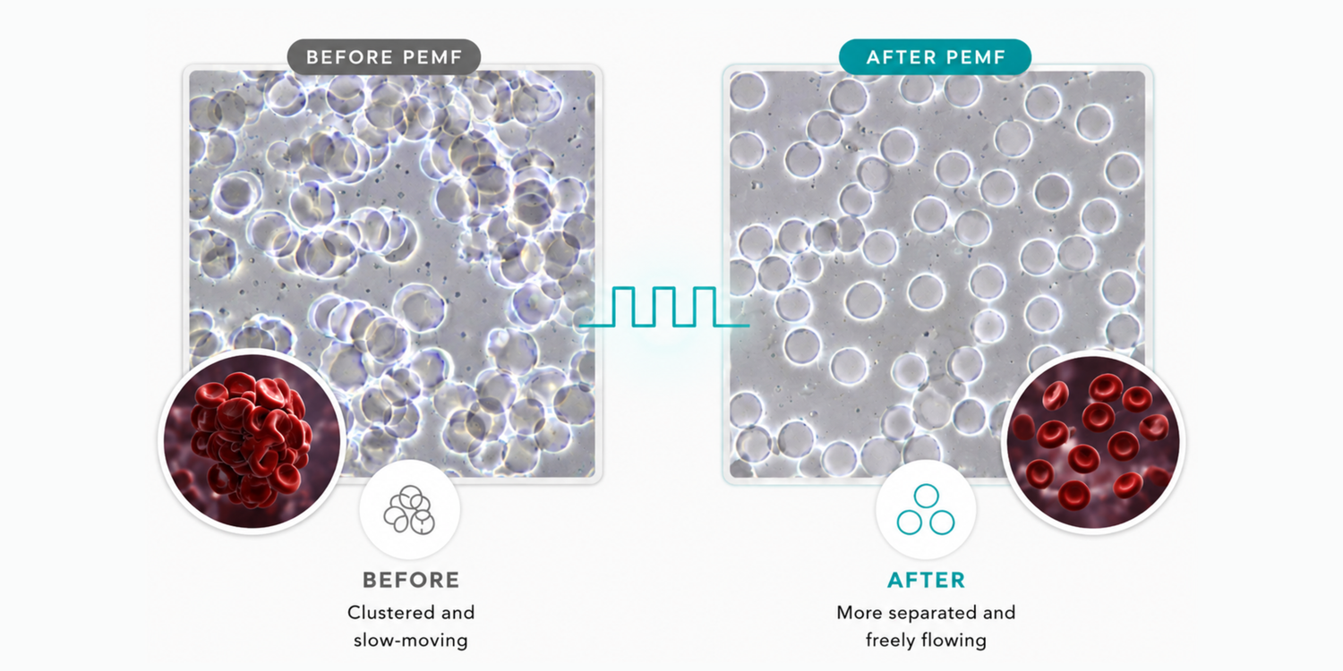 BEST CELLF Before and After PEMF therapy
